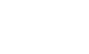 Logo MediaSmit